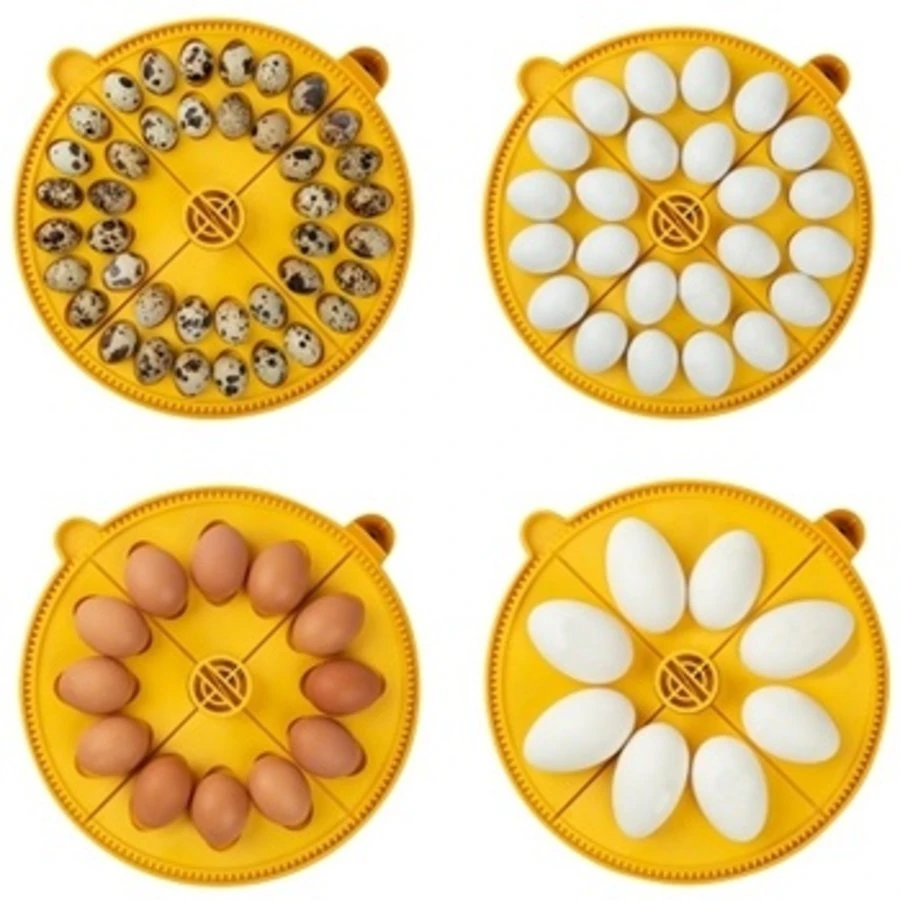 Brinsea Maxi 24 ADVANCE EX Broedmachine 4 Brinsea Maxi 24 ADVANCE EX Broedmachine - Afbeelding 4