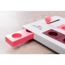 Cat Activity Brain Mover Strategisch Spel