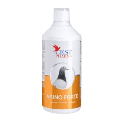 Cest Pharma Amino Forte 1000 Ml
