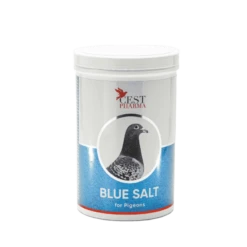 Cest Pharma Blue Salt 1000 Gram