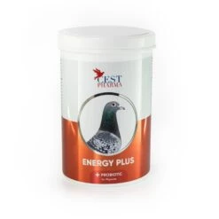 Cest Pharma Energy Plus 600 Gram