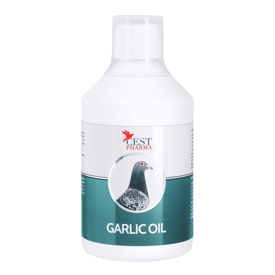Cest Pharma Garlic Oil 500 Ml 1 Cest Pharma Garlic Oil 500 Ml