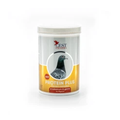 Cest Pharma Protein Plus