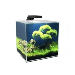 Ciano Aquarium Cube 10 LED