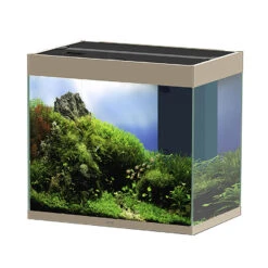 Ciano Aquarium Emotions Nature Pro 60 New Mystic