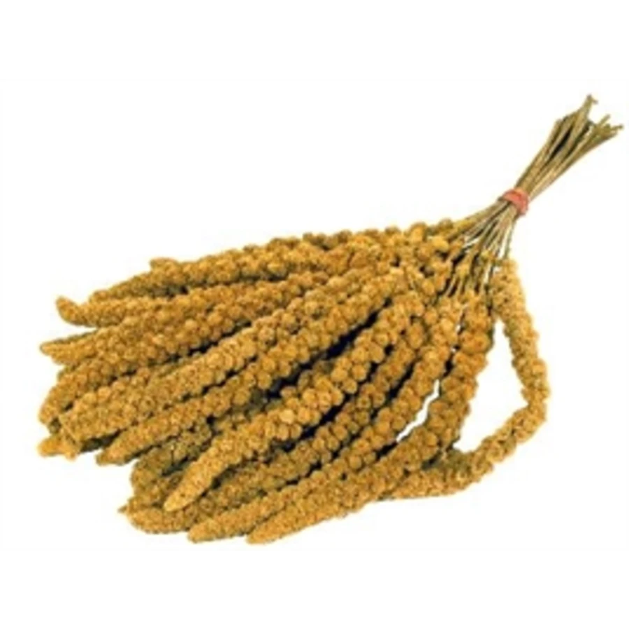 De Vries Trosgierst 3 Kg 1 De Vries Trosgierst 3 Kg