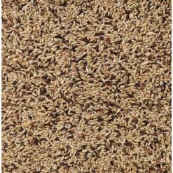 Deli Nature Kanarie Supreme 55 20 Kg