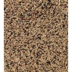 Deli Nature Zangzaad Extra 53 20 Kg