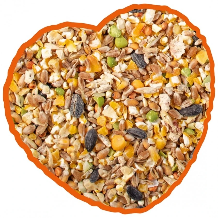 Duvo+ Tortelduif En Fazant Mix 20 Kg 2 Duvo+ Tortelduif En Fazant Mix 20 Kg - Afbeelding 2