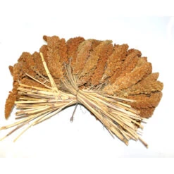 Duvo+ Trosgierst Rood 25 KG