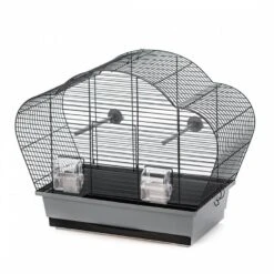 Duvo+ Vogelkooi Beta