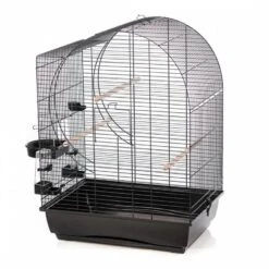 Duvo+ Vogelkooi Elizabeth