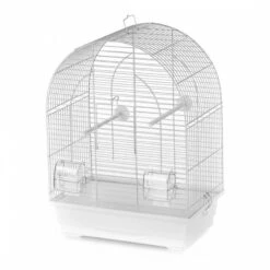 Duvo+ Vogelkooi Lusi 1