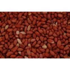 Excellent Gepelde Pinda's 25KG