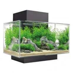 Fluval Edge I 2.0 Aquarium