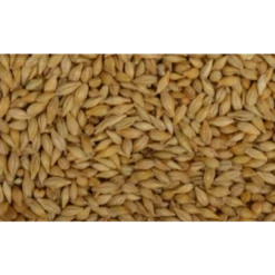 Garvo Duivengerst (5311) 20KG