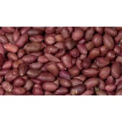 Garvo Gepelde Pinda's 20KG - 5362