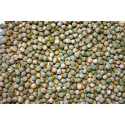 Garvo Groene Erwten 20KG