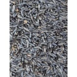 Garvo Negerzaad 25KG