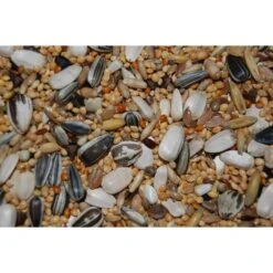 Hadivo Grote Parkieten / Agaporniden Zaad 20KG