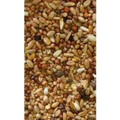 Hadivo Tortelduivenvoer 20KG