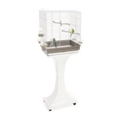 Imac Vogelkooi Camilla