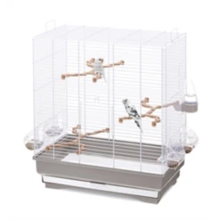 Imac Vogelkooi Carlotta