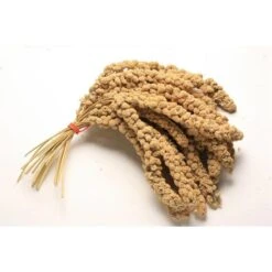 Junai.nl Chinese Trosgierst 15 Kilo