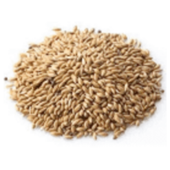 Konacorn Witzaad 18 KG