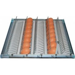 MS Broedmachines Eierrek Voor 40 Kalkoen/eenden Eieren