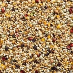 Natural FINESSE Rui 20 Kg