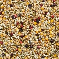 Natural Finesse Sport - Weduwnaars & Duivinnen