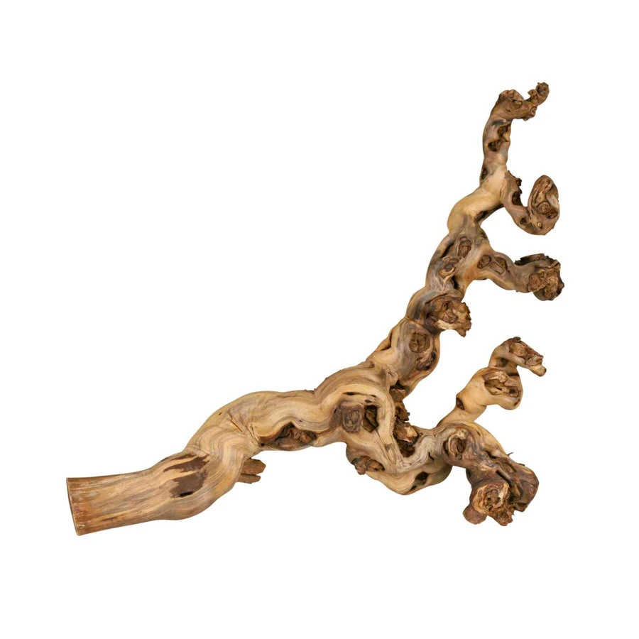 Reptiland Druiventak 3 Reptiland Druiventak - Afbeelding 3