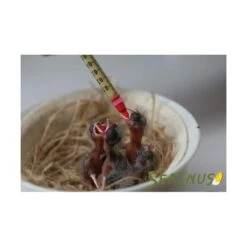 Serinus Zangvogels Krop Melk 100 Gram -Trixie || Duvo || EXO TERRA Verkoopwinkel serinus zangvogels krop melk 100 gram 2