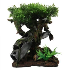 Terra Della Vliegtuigwrak Boom