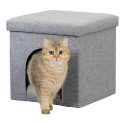 Trixie Schuilplaats Alois