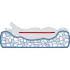 Trixie Vitaal Schuilplaats Noah 8 Trixie Vitaal Schuilplaats Noah -Trixie || Duvo || EXO TERRA Verkoopwinkel trixie vitaal schuilplaats noah 3