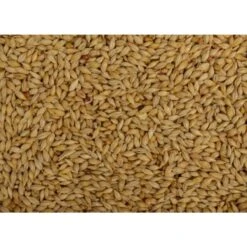 Uniestar Duivengerst 20kg