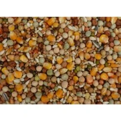 Uniestar Kweek Extra 20 Kg