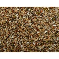 Uniestar Snoepzaad Optimaal 20 Kg