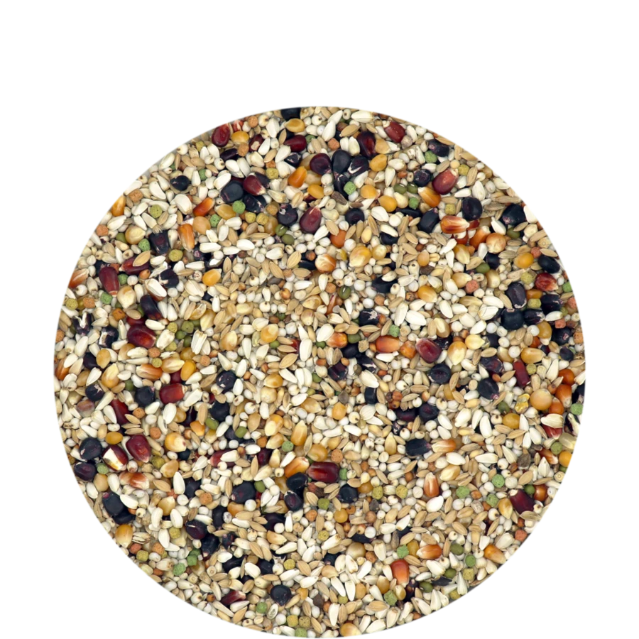 VERSELE-LAGA Versele Laga Gerry Plus I.C. Black Label 20 Kg 1 VERSELE-LAGA Versele Laga Gerry Plus I.C. Black Label 20 Kg