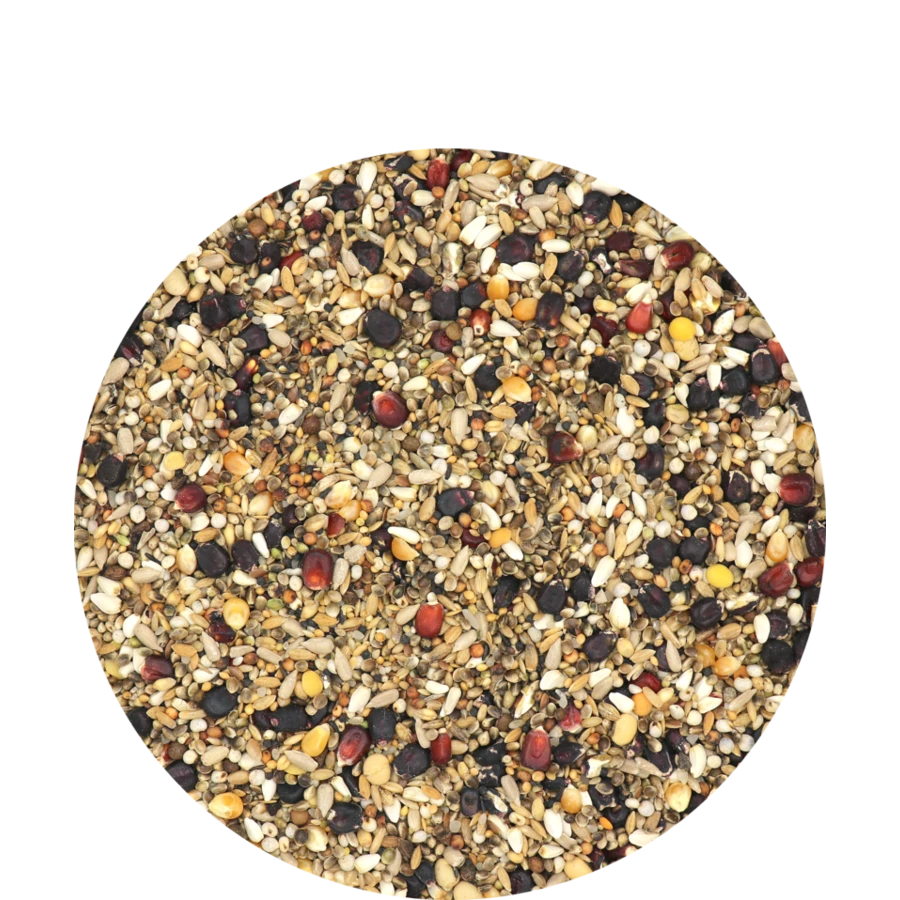 VERSELE-LAGA Versele Laga Master R-Exclusive 20 Kg 2 VERSELE-LAGA Versele Laga Master R-Exclusive 20 Kg - Afbeelding 2