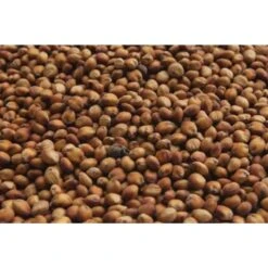 Wielink Dari Rood/Milocorn 25 Kg