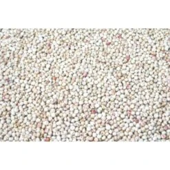 Wielink Dari Wit 25 Kg