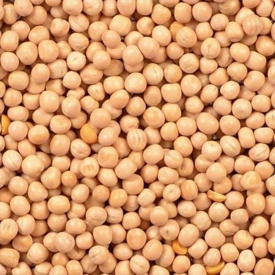 Wielink Gele Erwten 25 Kg 1 Wielink Gele Erwten 25 Kg