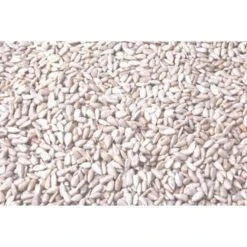 Wielink Gepelde Zonnebloempitten 25 Kg