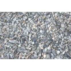 Wielink Gestreepte Zonnebloempitten 15 Kg