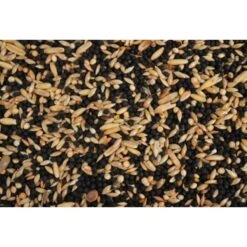 Wielink Kanariezaad Zonder Raapzaad 20 Kg