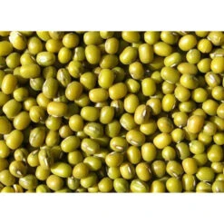 Wielink Katjang Idjoe 25 Kg