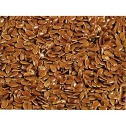 Wielink Lijnzaad 20 Kg